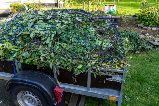 Best Hoarding Cleanup  in Beecher, MI
